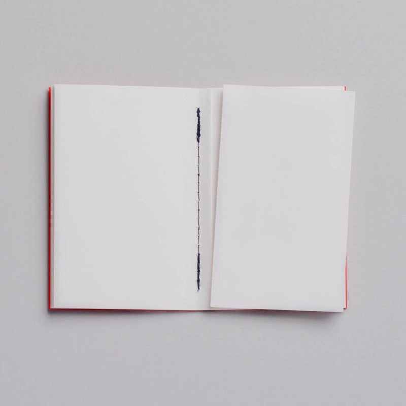 POCKET Notebook (x3)