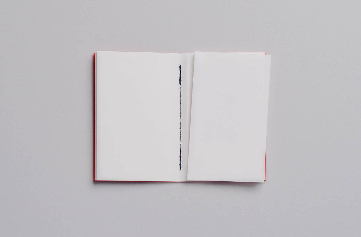 POCKET Notebook (x3)
